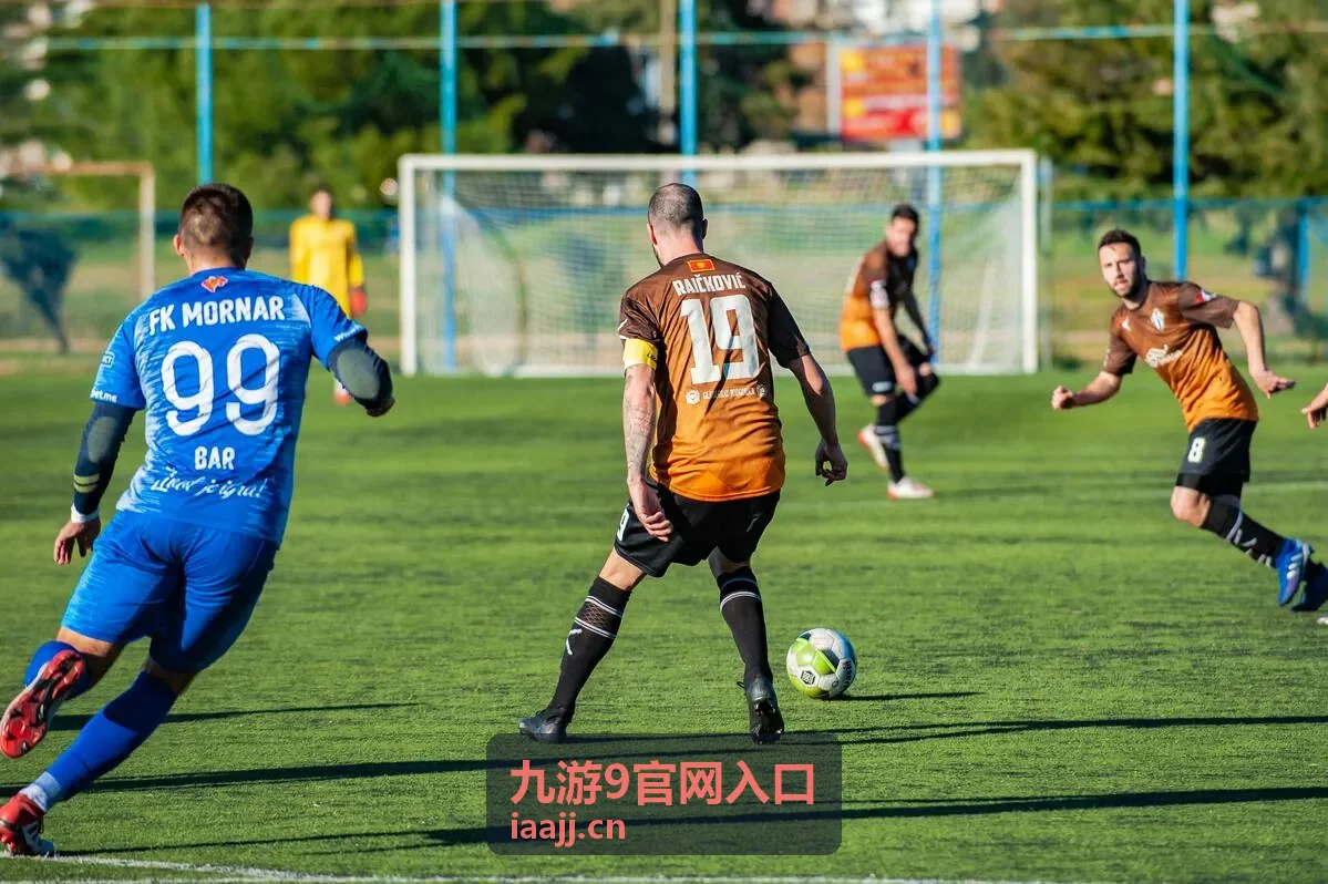 九游9官网入口功能体验说明